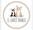 Contatti - IL LARICE BIANCO