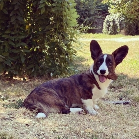 BENVENUTA , LILLI! - IL LARICE BIANCO